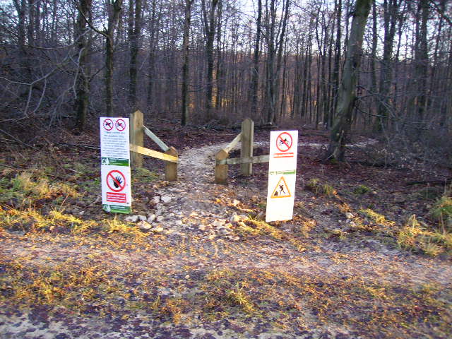 A purpose-built mountain-bike trail through Dalby Forest